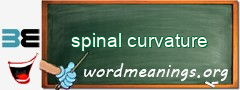 WordMeaning blackboard for spinal curvature